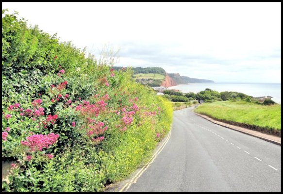 Sidmouth-05